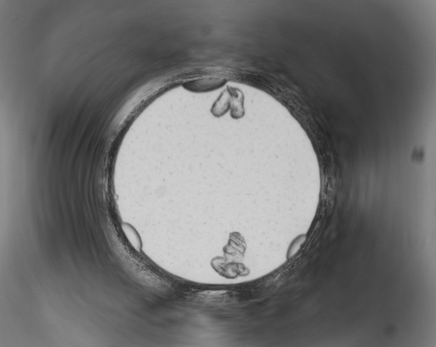 X0000114570054200911301321