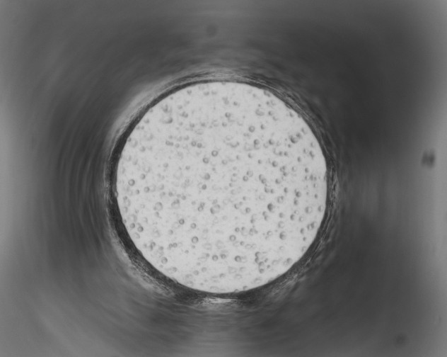 X0000114570055200911301321