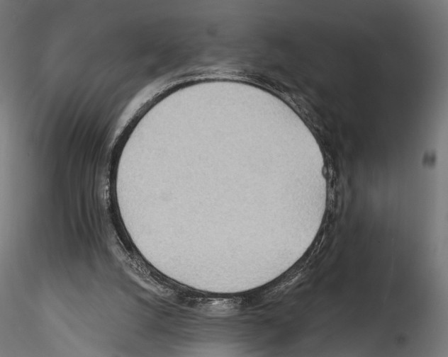 X0000114570056200911301321