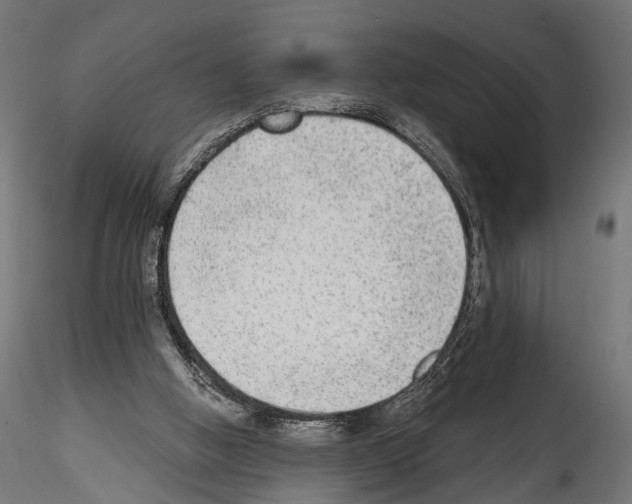 X0000114570058200911301321