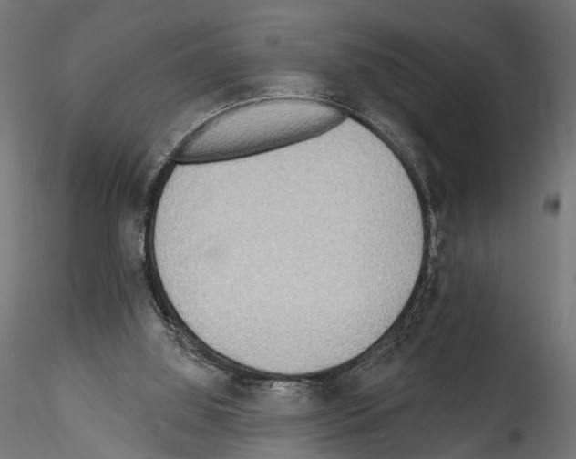 X0000114570060200911301321