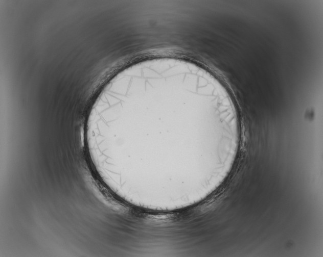 X0000114570061200911301321