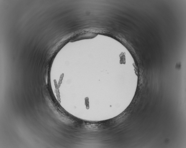 X0000114570062200911301321