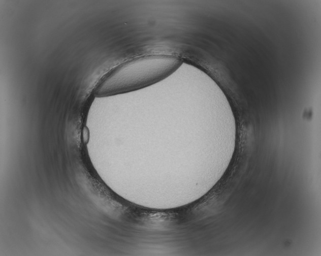 X0000114570064200911301321