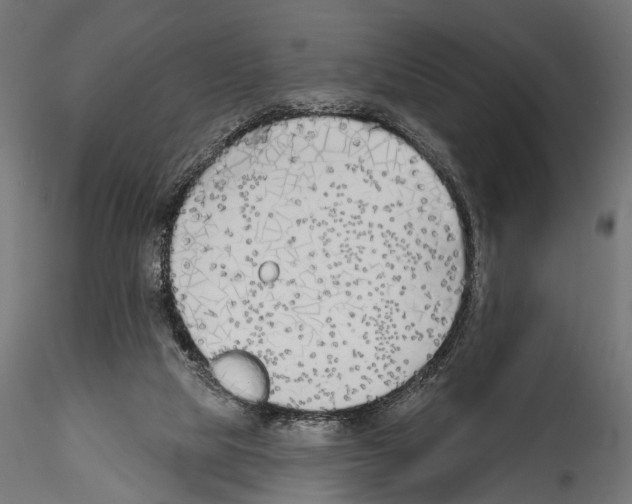 X0000114570065200911301321