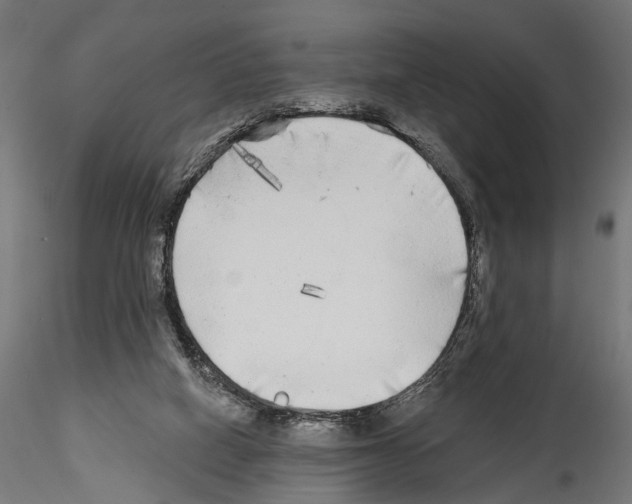 X0000114570066200911301321