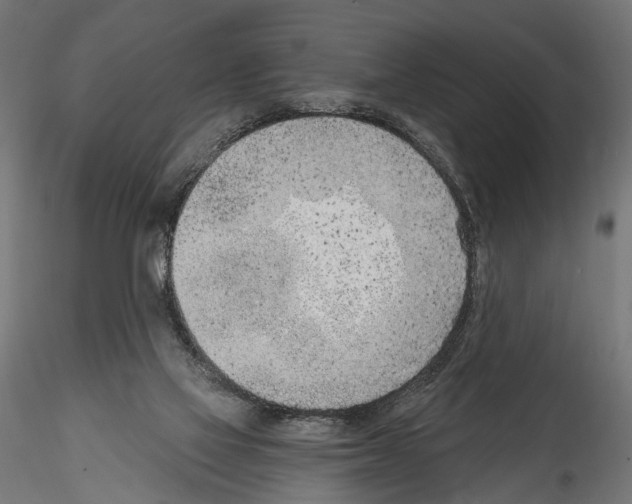 X0000114570069200911301321