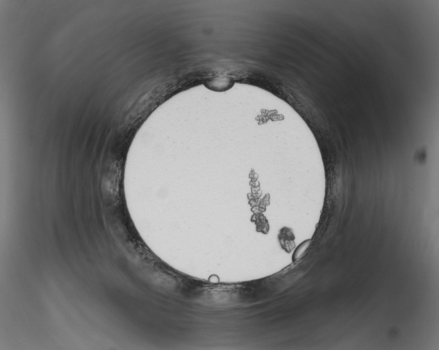 X0000114570078200911301321