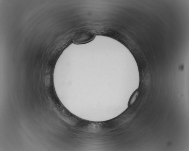 X0000114570080200911301321