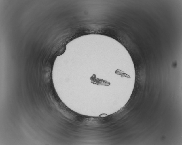 X0000114570082200911301321