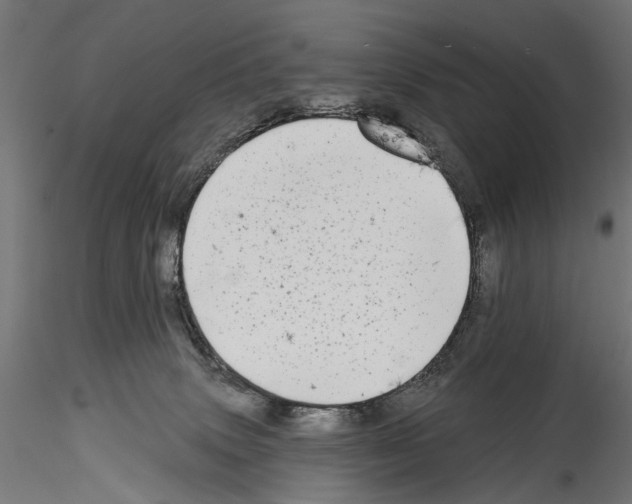 X0000114570083200911301321