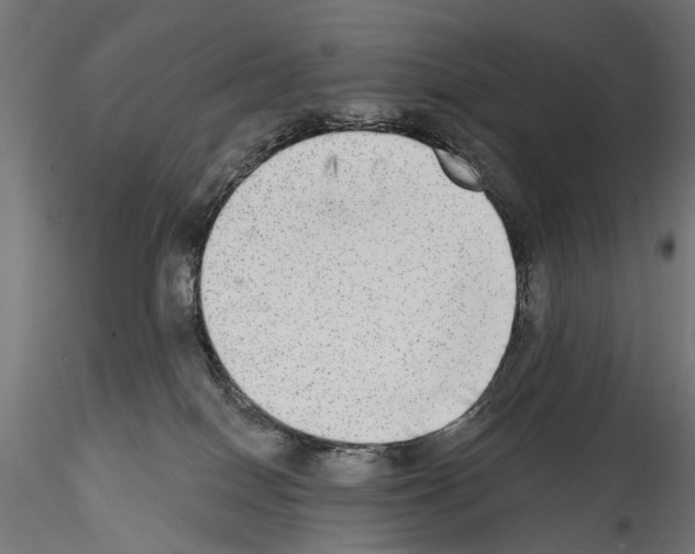 X0000114570086200911301321