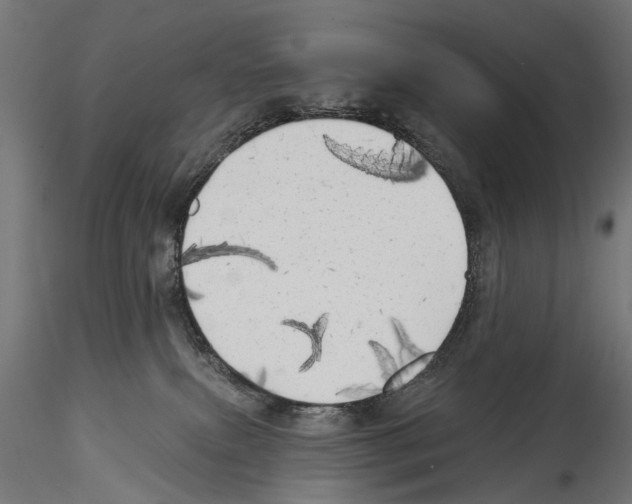 X0000114570087200911301321