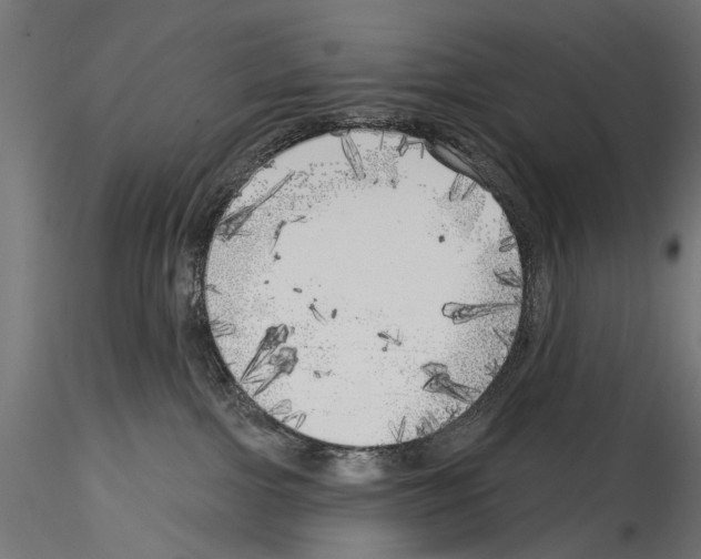 X0000114570091200911301321