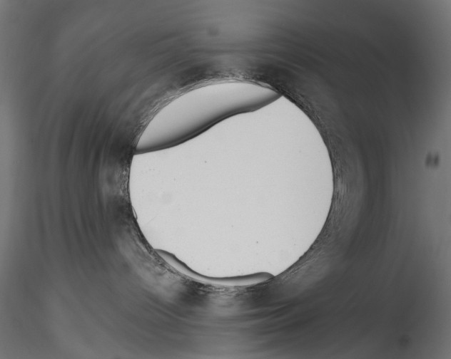 X0000114570096200911301321