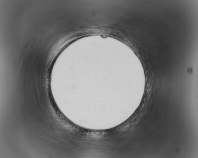 X0000114570103200911301320