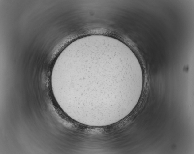 X0000114570106200911301320