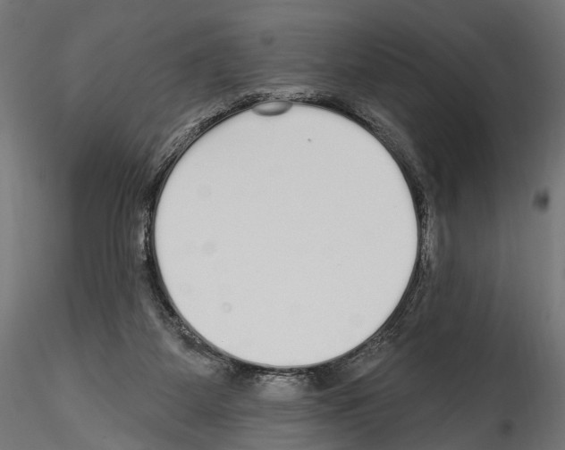 X0000114570115200911301320