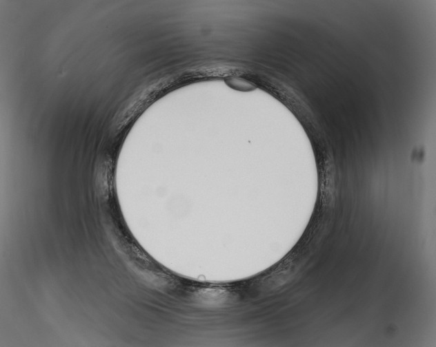 X0000114570119200911301320