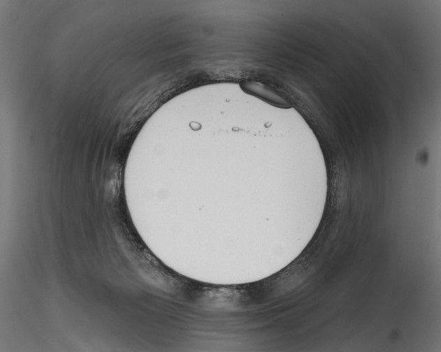 X0000114570125200911301320