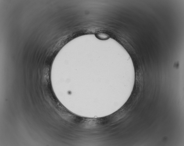 X0000114570127200911301320