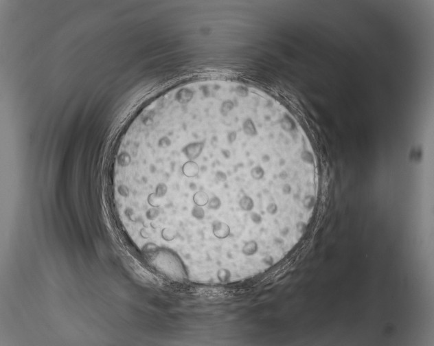 X0000114570145200911301319