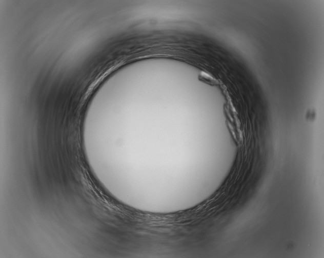 X0000114570146200911301319