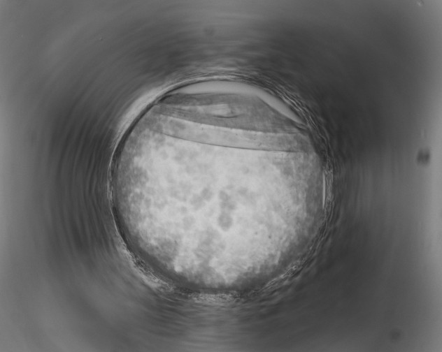 X0000114570147200911301319