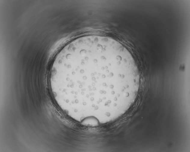 X0000114570149200911301319