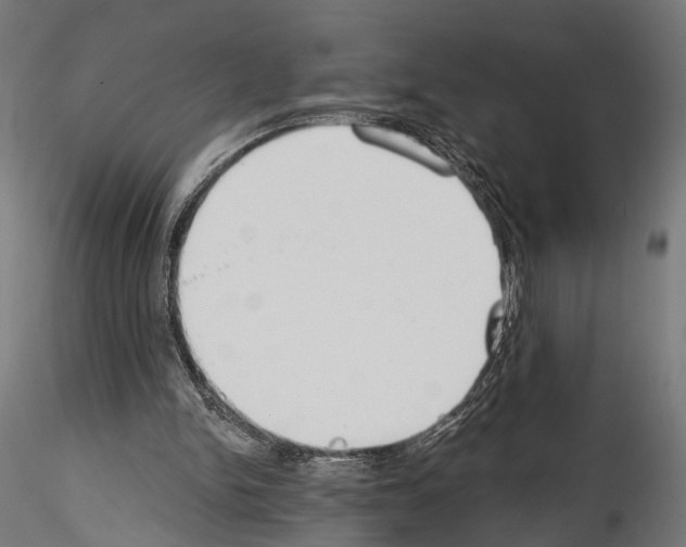 X0000114570150200911301319