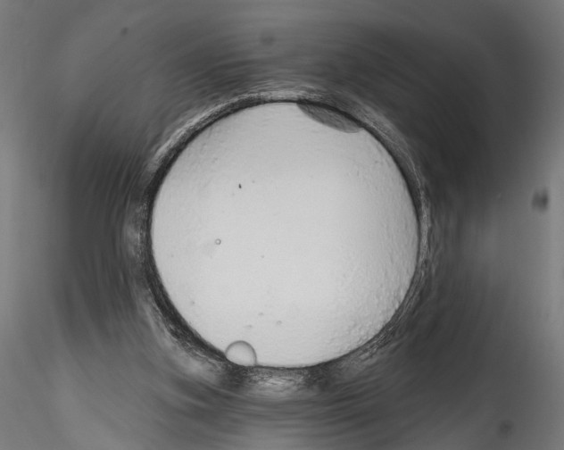 X0000114570155200911301319