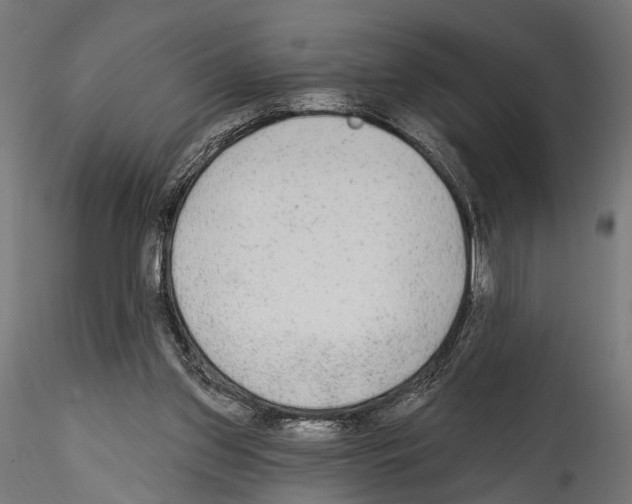 X0000114570157200911301319