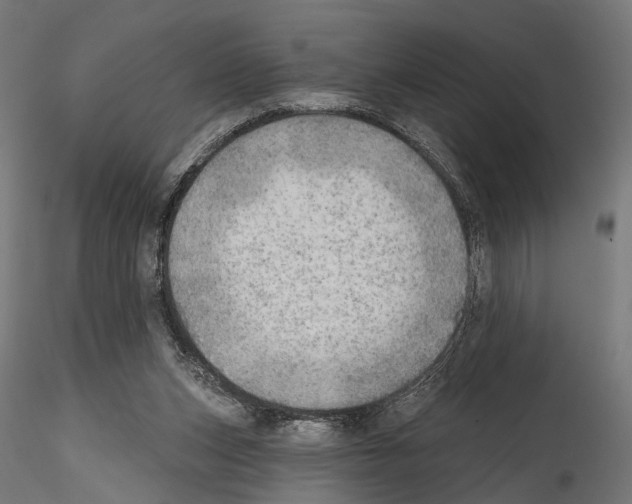 X0000114570159200911301319