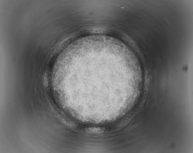 X0000114570161200911301319