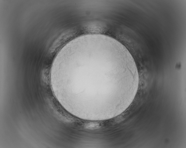 X0000114570162200911301319