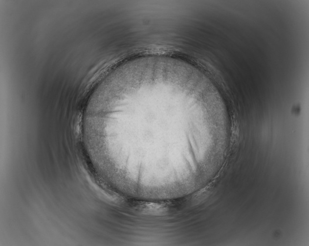 X0000114570166200911301319