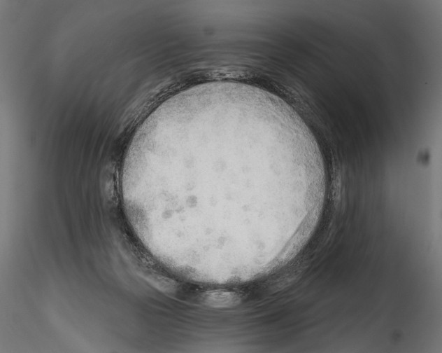 X0000114570169200911301319