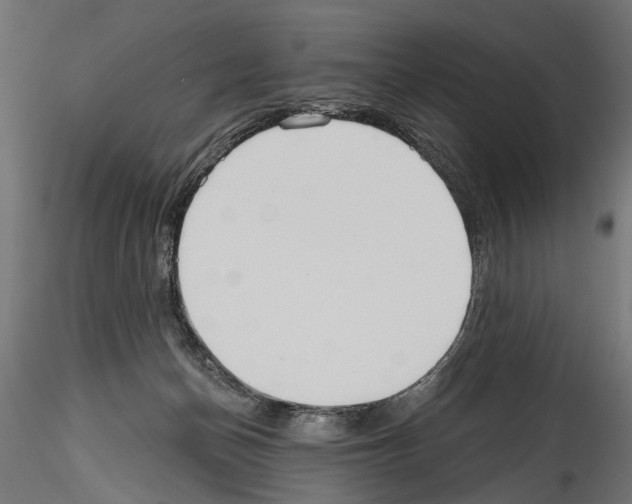 X0000114570174200911301319