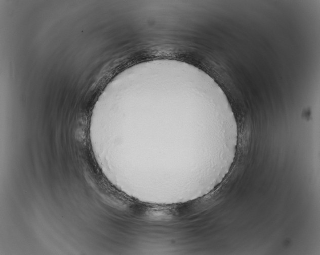 X0000114570175200911301319