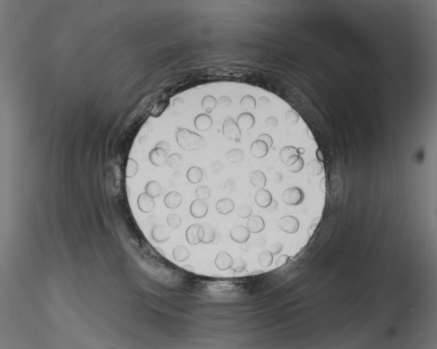 X0000114570183200911301320