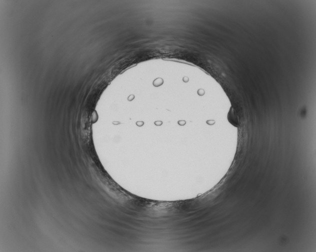 X0000114570186200911301320