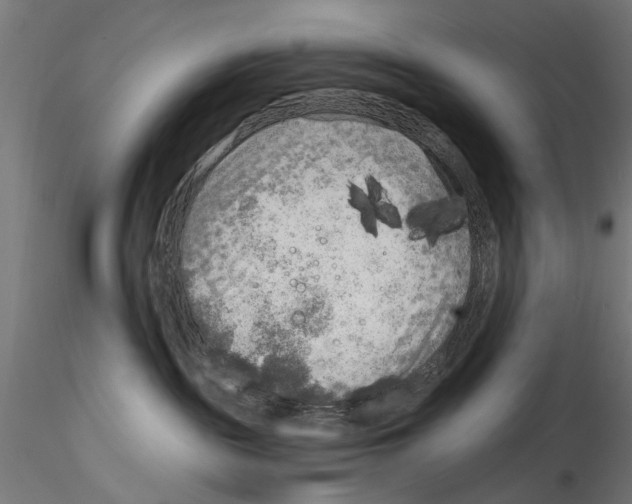 X0000114570189200911301320