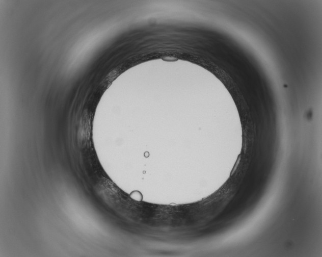 X0000114570190200911301320