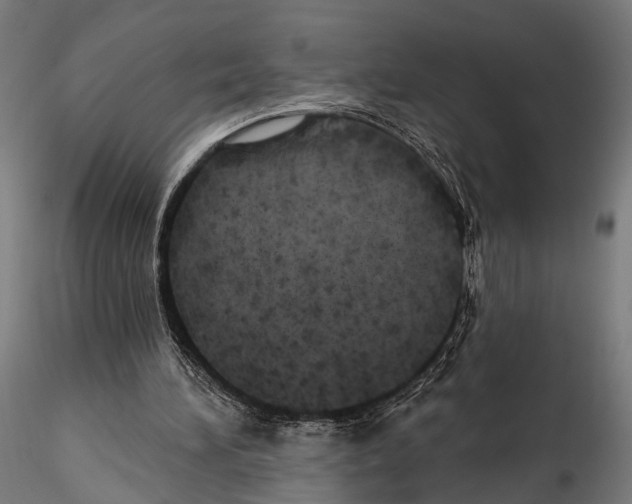 X0000114570196200911301319