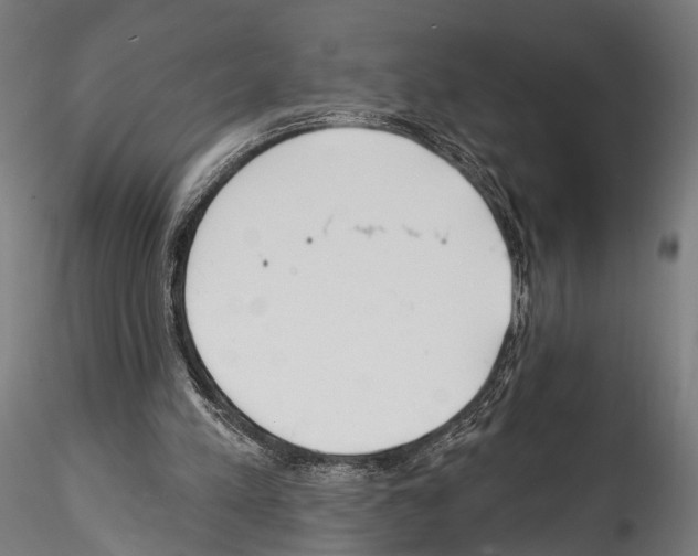 X0000114570197200911301319