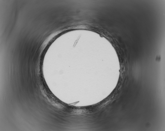 X0000114570200200911301319