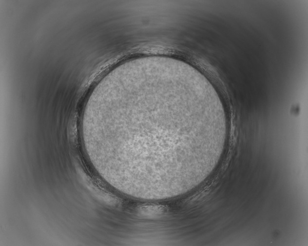 X0000114570202200911301319