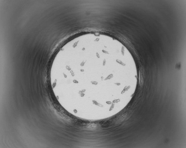 X0000114570204200911301319