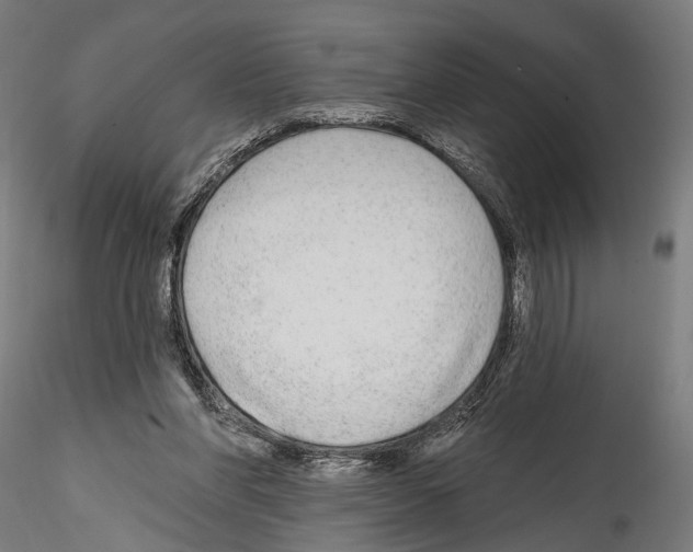 X0000114570206200911301319