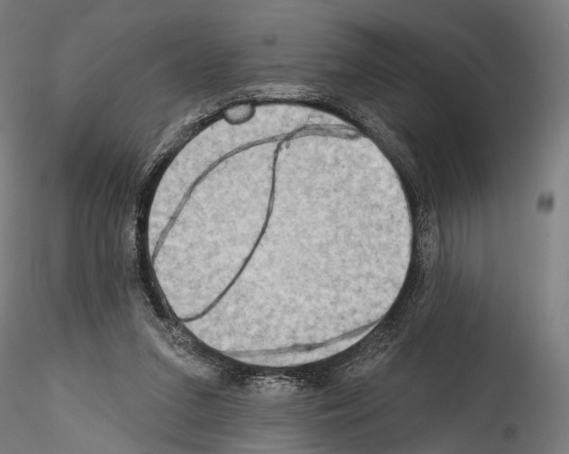 X0000114570207200911301319